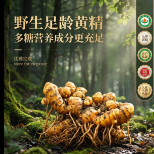AIGC智能应用图解